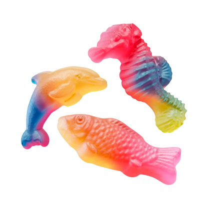 Malaco Rainbow Sea