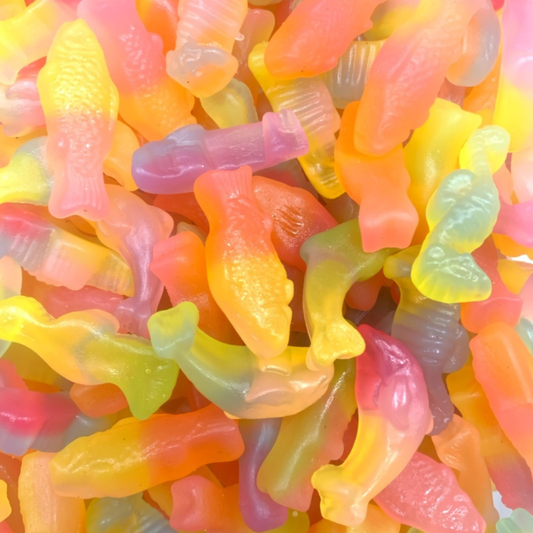 Malaco Rainbow Sea